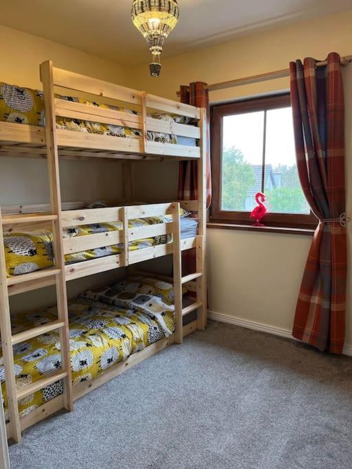 Lovely 2 Bedroom Family Apartment In Newcastle ニューカッスル エクステリア 写真